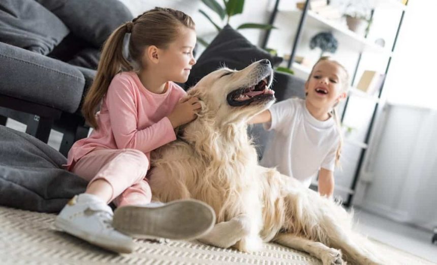 Bambini si divertono con cane