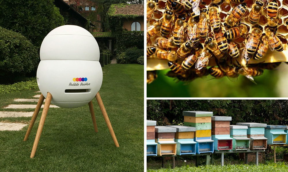 Arnie 2.0: design per l'apicoltura moderna - Finetodesign