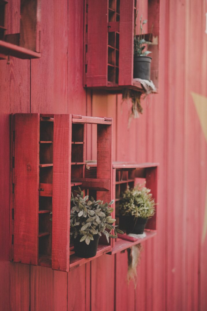Cassette rosse con piante fissate a muro
